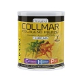Collmar Colágeno Marino Magnesio + Cúrcuma Sabor Limón Drasanvi (300 g)