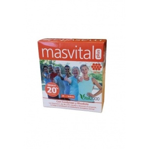 Masvital Plus Vital2000 (20+4 sobres, 360 ml)