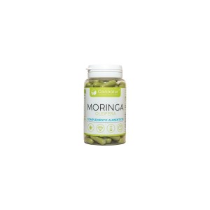 moringa-oleifera-connatur