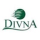 Logotipo Divna