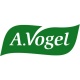 Logotipo A.Vogel